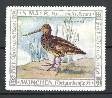 Reklamemarke Kgl. Hoflieferant N. Mayr, Adelgundenstr. 34, München, Bekassine am Schilf stehend