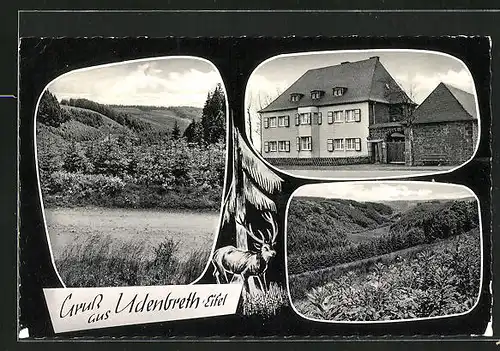 AK Udenbreth / Eifel, Gasthaus Zur Linde, Landschaftsmotive