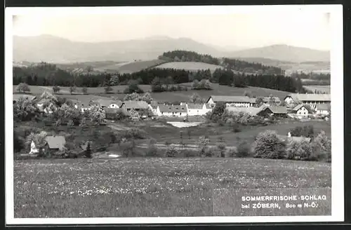 AK Schlag, Blick von der Bergwiese auf den Ort