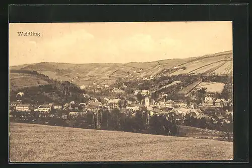 AK Weidling, Blick von der Bergwiese auf den Ort