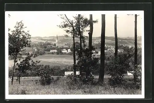 AK Wieselburg / Erlauf, Blick von der Bergwiese zum Ort