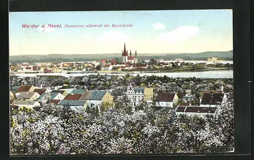 AK Werder an der Havel, Panorama während der Baumblüte