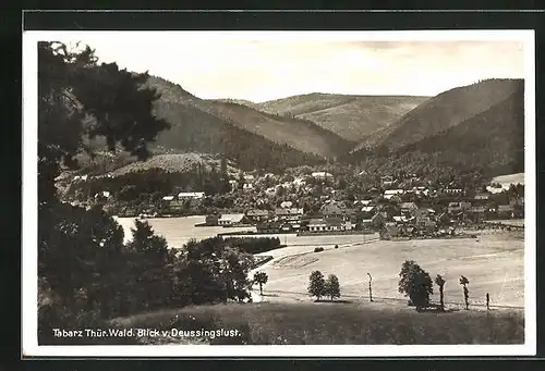 AK Tabarz im Thüringer Wald, Blick v. Deussingslust