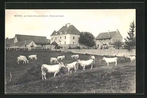 AK Ruere, Vue partielle du village