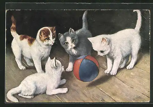 AK Katzen spielen mit einem Ball