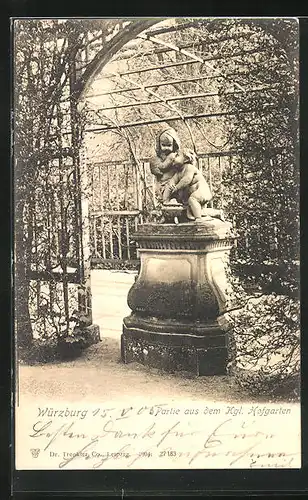 AK Würzburg, Partie aus dem Königlichen Hofgarten