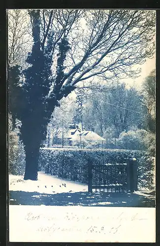AK Würzburg, Königlicher Hofgarten