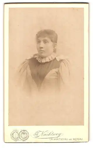 Fotografie Th. Nachtweg, Crimmitschau, Portrait junge Dame mit zurückgebundenem Haar