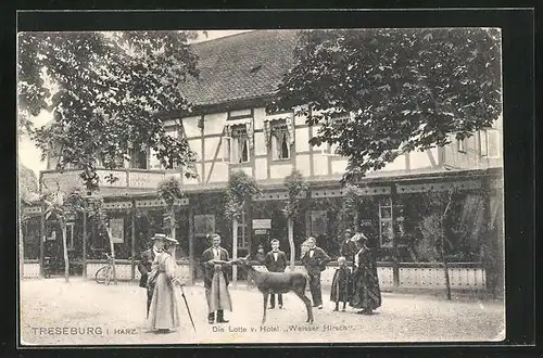 AK Treseburg i. Harz, Hotel Weisser Hirsch mit der Lotte