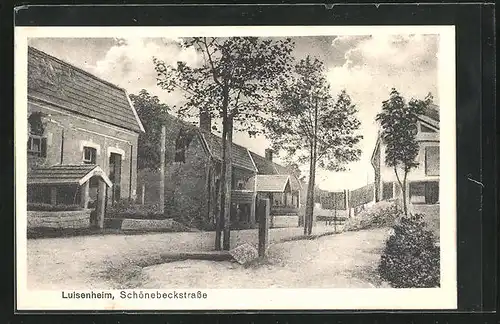 AK Luisenheim, Schönebeckstrasse mit Wohnhäusern