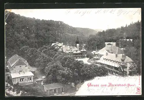 AK Alexisbad im Harz, Teilansicht aus der Vogelschau