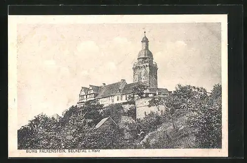 AK Selketal im Harz, Burg Falkenstein