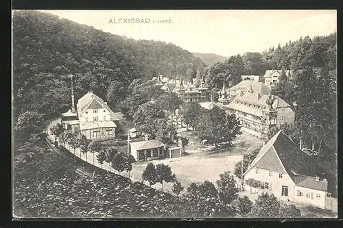 AK Alexisbad i.Harz, Ortsansicht mit Bahngleisen