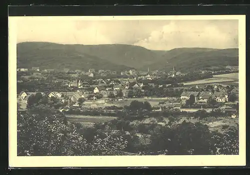 AK Suderode am Harz, Panorama vom Brückeberg