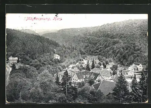 AK Mägdesprung im Harz, Ortsansicht mit Wald