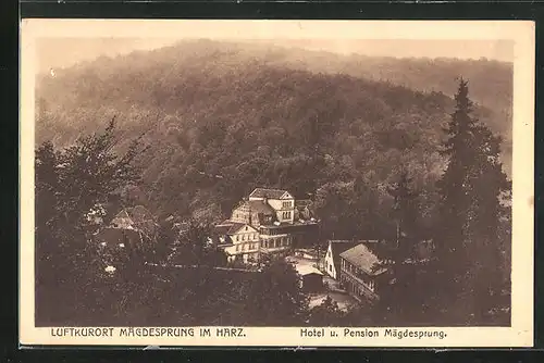 AK Mägdesprung im Harz, Hotel und Pension Hermann Meves