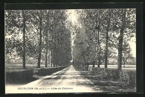 AK Courléon, Allée du Château