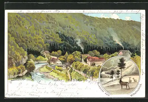 Lithographie Treseburg / Harz, Ortsansicht mit Berglandschaft, Hirsch