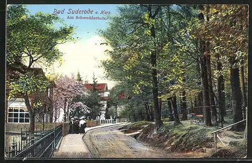 AK Suderode /Harz, Strasse am Schwedderholz