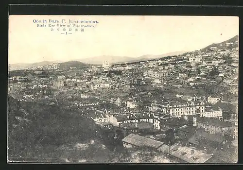 AK Vladivostock, Birds Eye View of the Town, Blick über die Dächer der Stadt