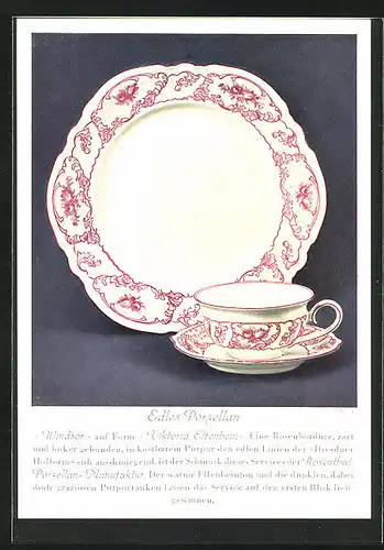 AK Teller und Tasse Windsor auf Form Viktoria , Rosenthal-Porzellan-Manufaktur