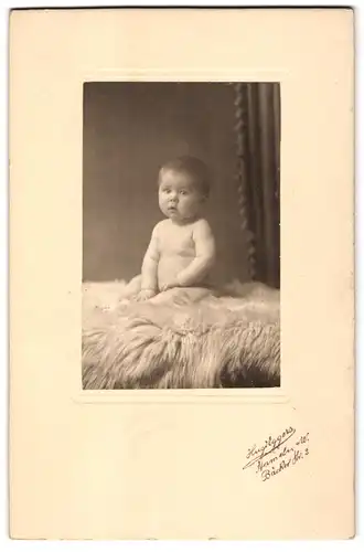 Fotografie Hugo Eggers, Hameln-W, Bäcker Strasse 2, Portrait nackiges Kleinkind auf Fell sitzend