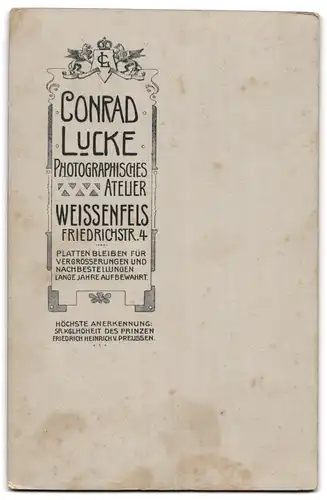 Fotografie Conrad Lucke, Weissenfels, Gutbürgerliches Paar mit seinen Söhnen