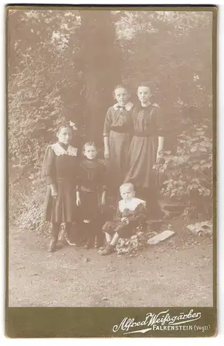 Fotografie Alfred Weissgärber, Falkenstein / Vogtl., Geschwister in vertrauter Pose am Waldrand