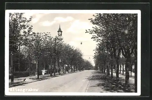 AK Altengrabow, Strassenpartie mit Baumallee