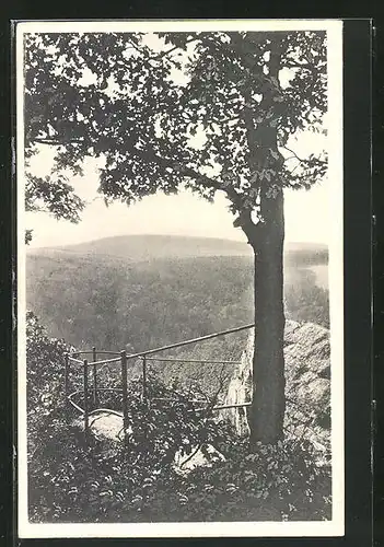 AK Mägdesprung /Harz, Freundschaftsklippe mit Aussicht auf Victorshöhe