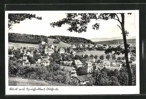 AK Bad Altheide, Blick auf den Ort