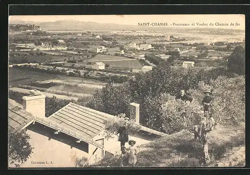 AK Saint-Chamas, Panorama et Viaduc du Chemin de fer