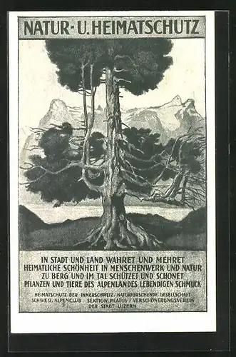 AK Luzern, Natur- u. Heimatschutz der Innerschweiz, Baum gegen Gebirgszug