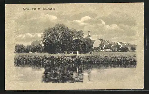 AK Wendisch Buchholz, Blick vom See auf den Ort