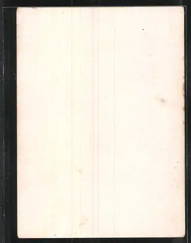 Fotografie Dackel, Lang - und Kurzhaardackel, Dachshound