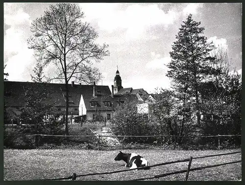 Fotografie Löhrich, Gröbenzell, Ansicht Frohburg, Gehöft am Ortsrand