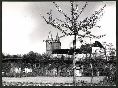 Fotografie Löhrich, Gröbenzell, Ansicht Rochlitz, Schloss Rochlitz im Frühling