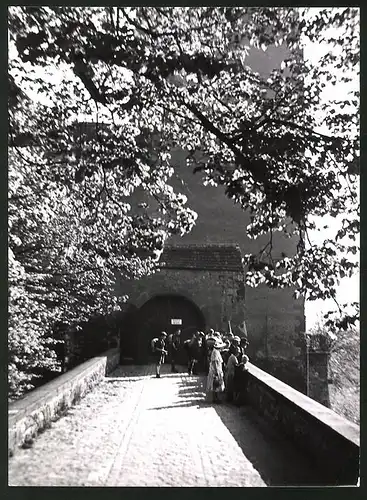 Fotografie Löhrich, Gröbenzell, Ansicht Rochlitz, Brücke des Rochlitzer Schlosses im Frühling