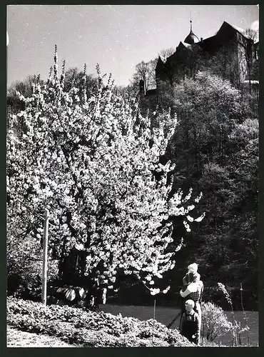 Fotografie Löhrich, Gröbenzell, Ansicht Lunzenau, Rochsburg über dem Tal der Zwickauer Mulde