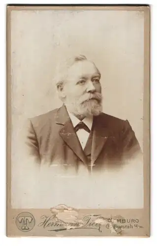 Fotografie Hermann Tietz, Hamburg, Gr. Burstah 12-14, Portrait älterer Herr im Anzug mit Vollbart