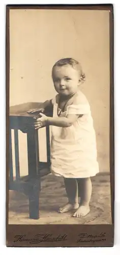 Fotografie Hermann Hauschild, Zittau i. Sa., Reichenbergerstrasse 28, Portrait niedliches Kleinkind im weissen Hemd