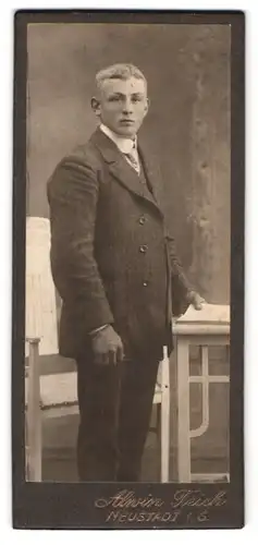 Fotografie Alwin Teich, Neustadt i. S., Portrait junger Mann im Anzug mit Krawatte