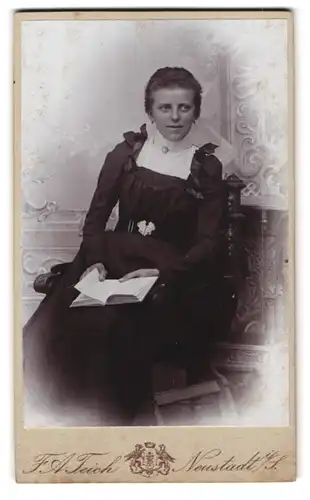 Fotografie F. A. Teich, Neustadt i / S., Albertstrasse 195, Portrait bürgerliche Dame mit Buch auf Stuhl sitzend