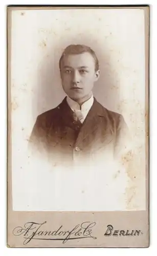 Fotografie A. Jandorf & Co., Berlin-C, Spittelmarkt 16-17, Portrait junger Mann im Anzug mit Krawatte