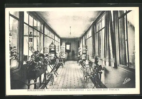 AK Malestroit, Clinique des Augustinus, La Galerie des Oiseaux
