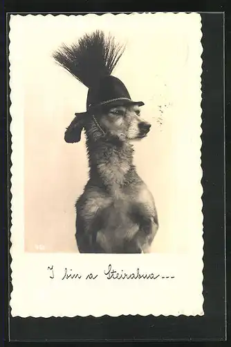 AK Hund mit Gamsbart am Hut, vermenschlichte Tiere