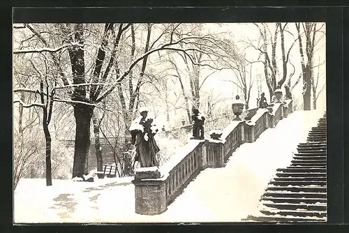 AK Würzburg, Königlicher Hofgarten im Winter