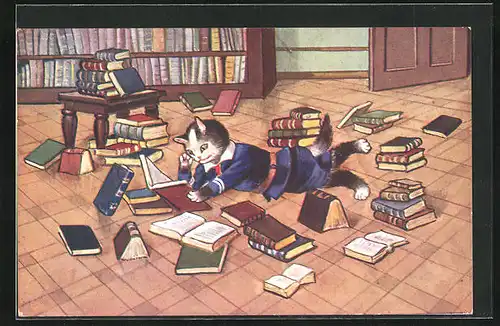 AK Katze liest versunken in einem Buch, vermenschlichte Tiere