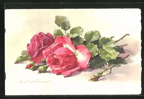 Künstler-AK Catharina Klein: Rote Rosen in voller Blüte