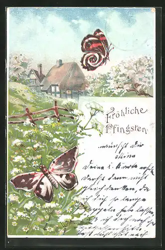 Lithographie Schmetterlinge auf der Frühlingswiese